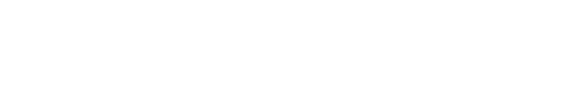 logo light